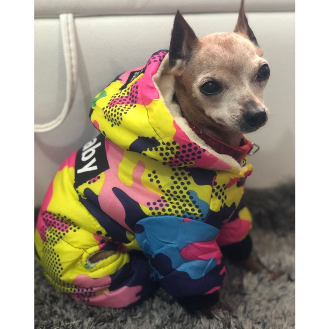 Macacão Pet Haylei