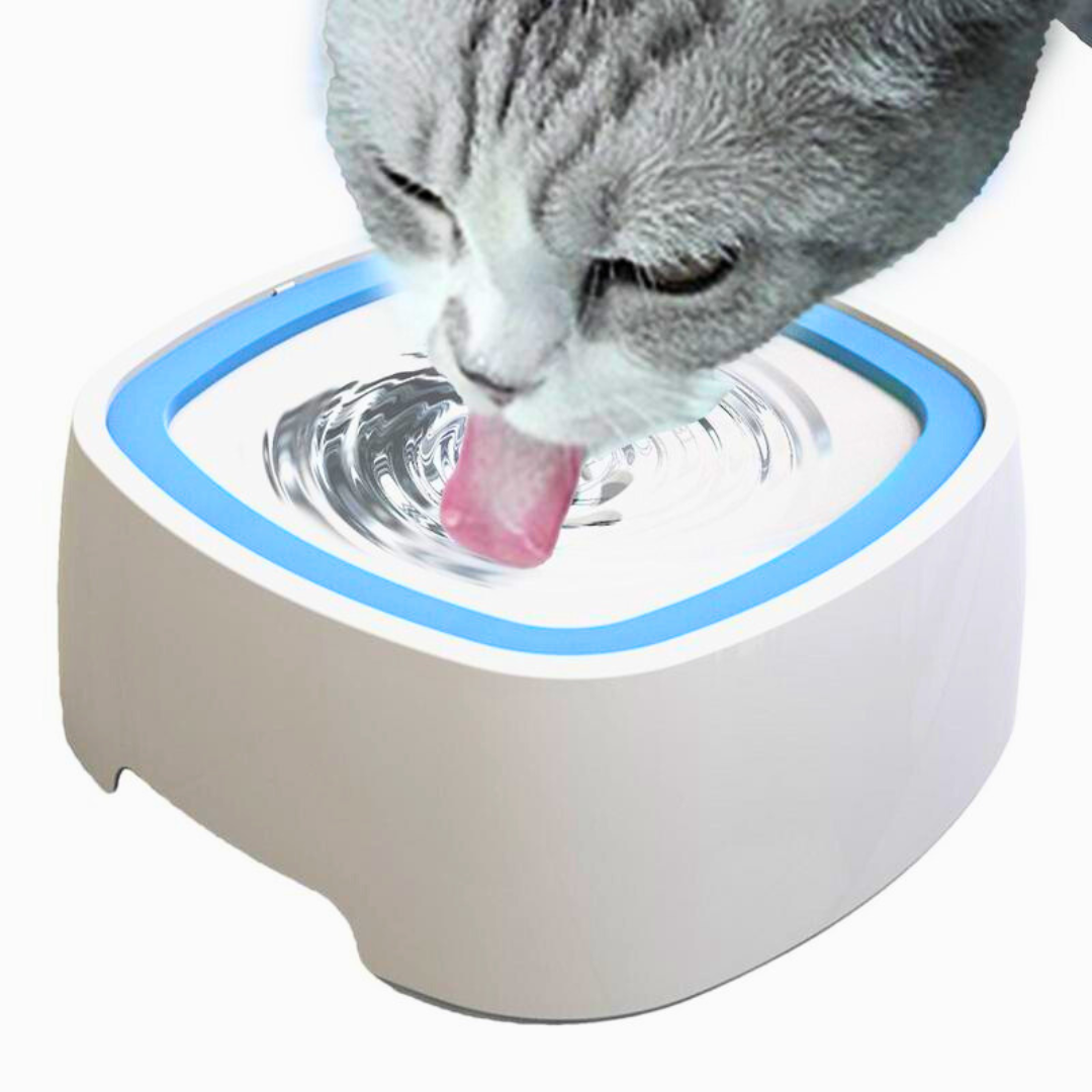 Bebedouro Anti Respingos | Para Cachorro e Gato