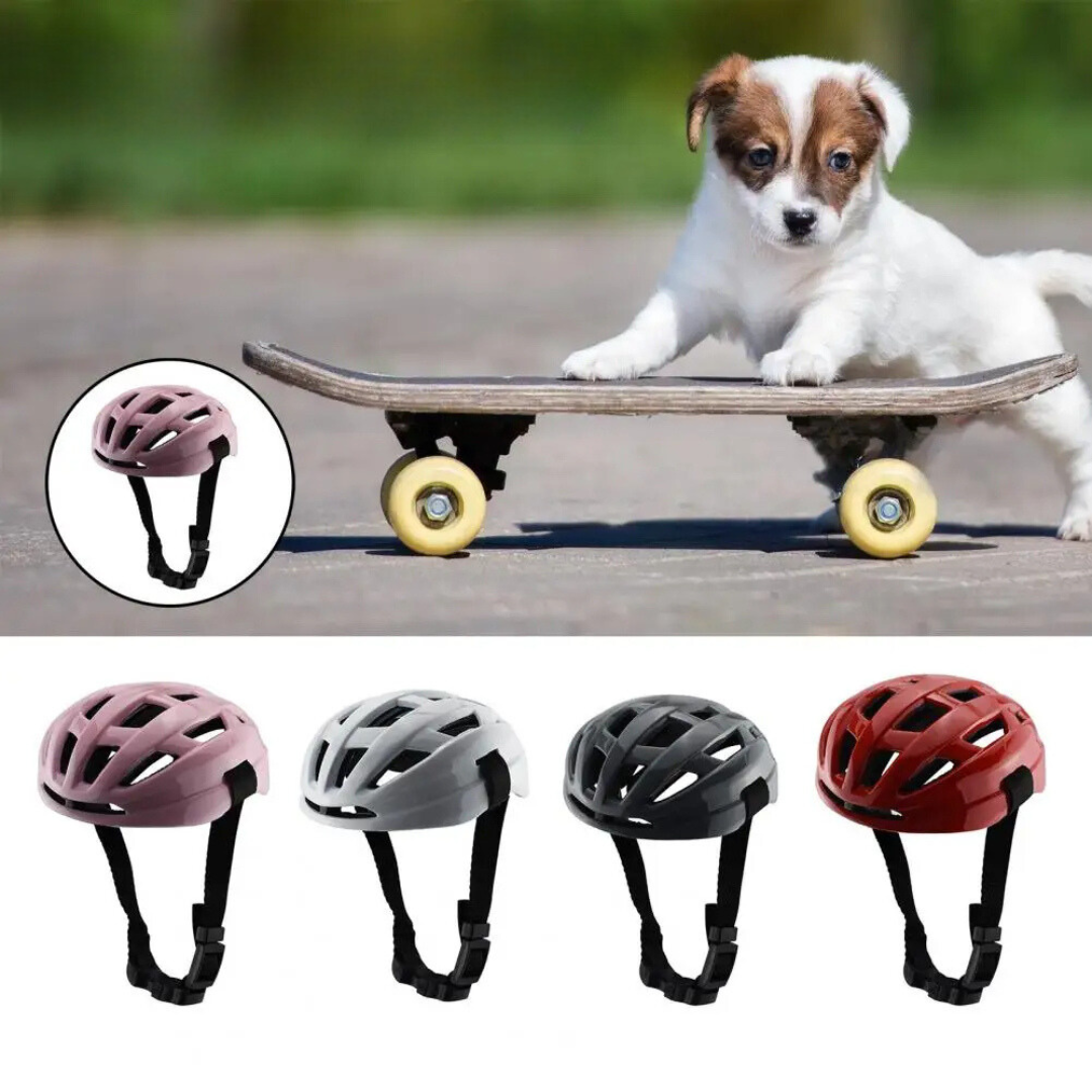Capacete de Cachorro para Proteção em Motos e Bicicletas