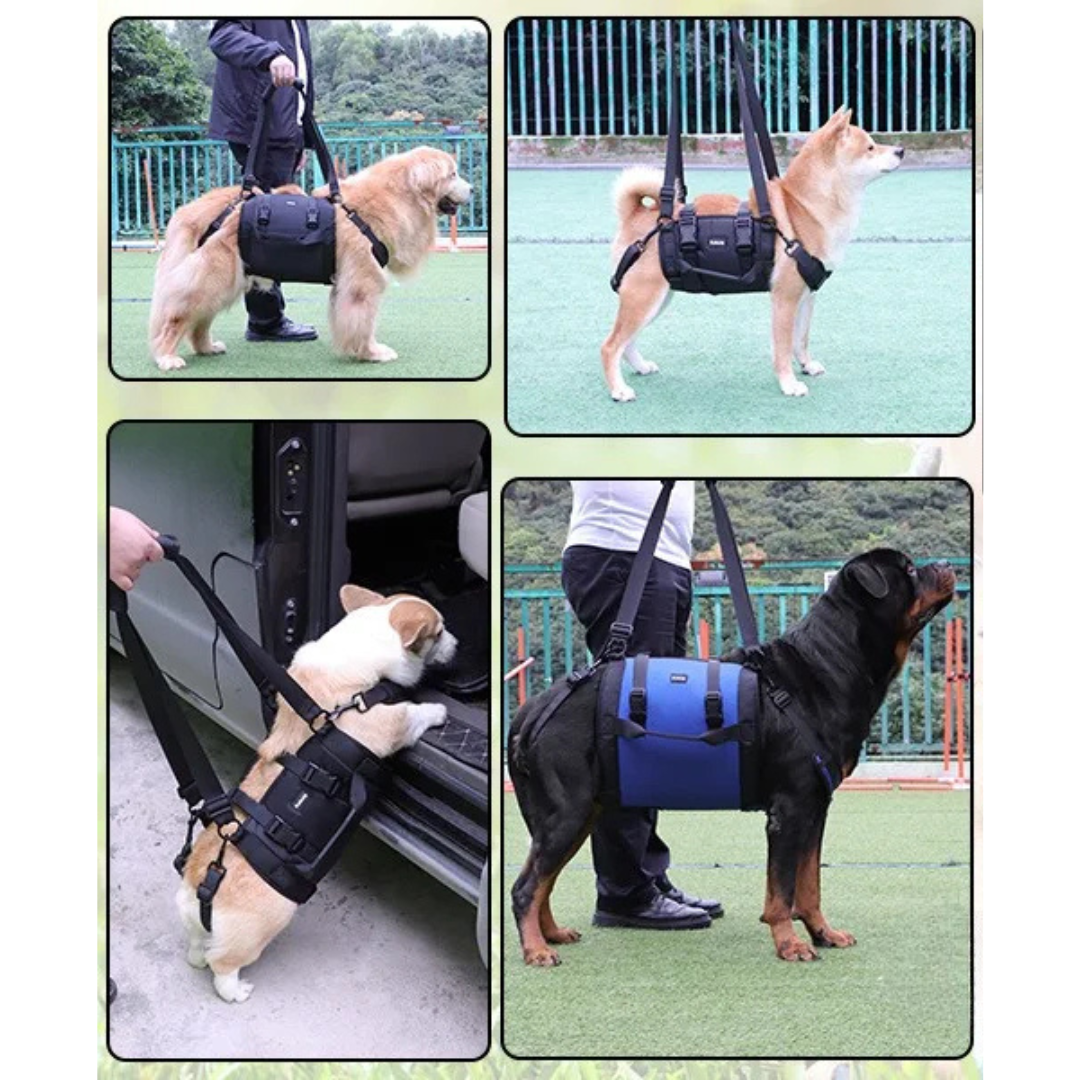Sling Portátil para Pernas Traseiras e Quadris de Cachorros com Dificuldade de Caminhar