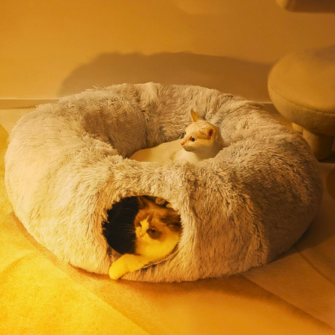 Caminha 2 em 1 | Para Gatos