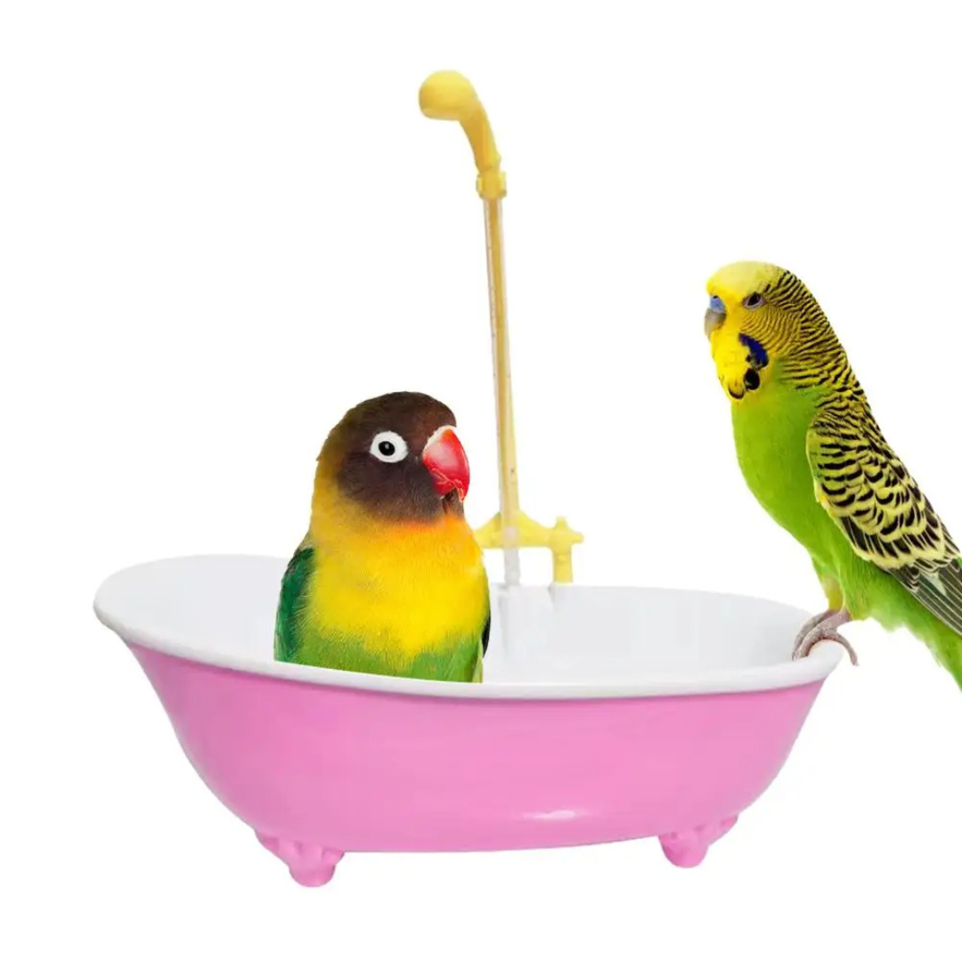 Banheiro de Banho para Aves Piscina Automática com Fonte para Papagaio Periquito Calopsita