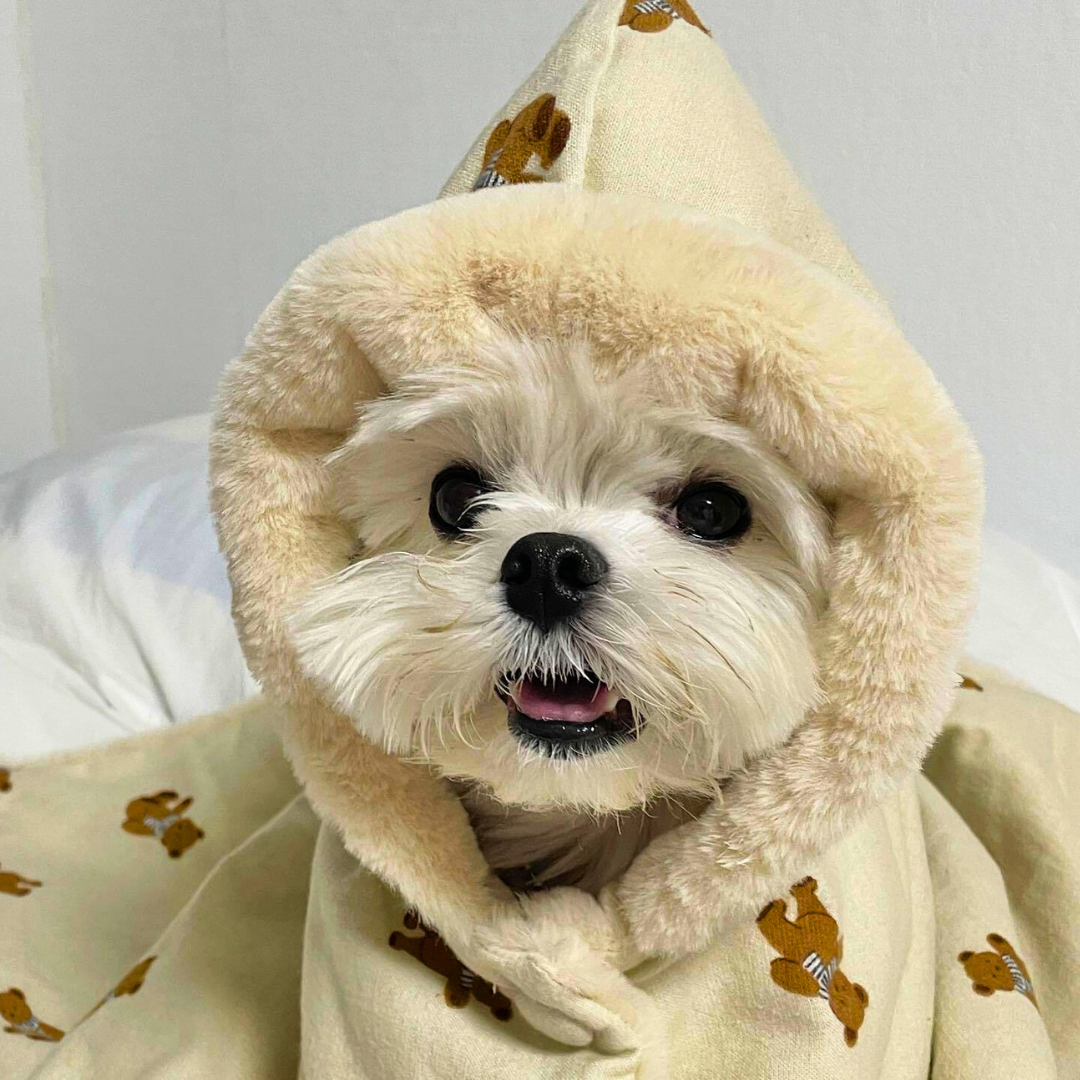 Coberta Capa Pet Winter | Para Cachorro e Gato