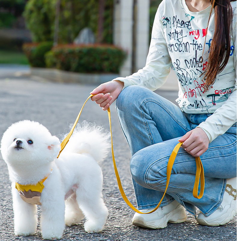 Coleira & Guia Resistente Pet Zilo