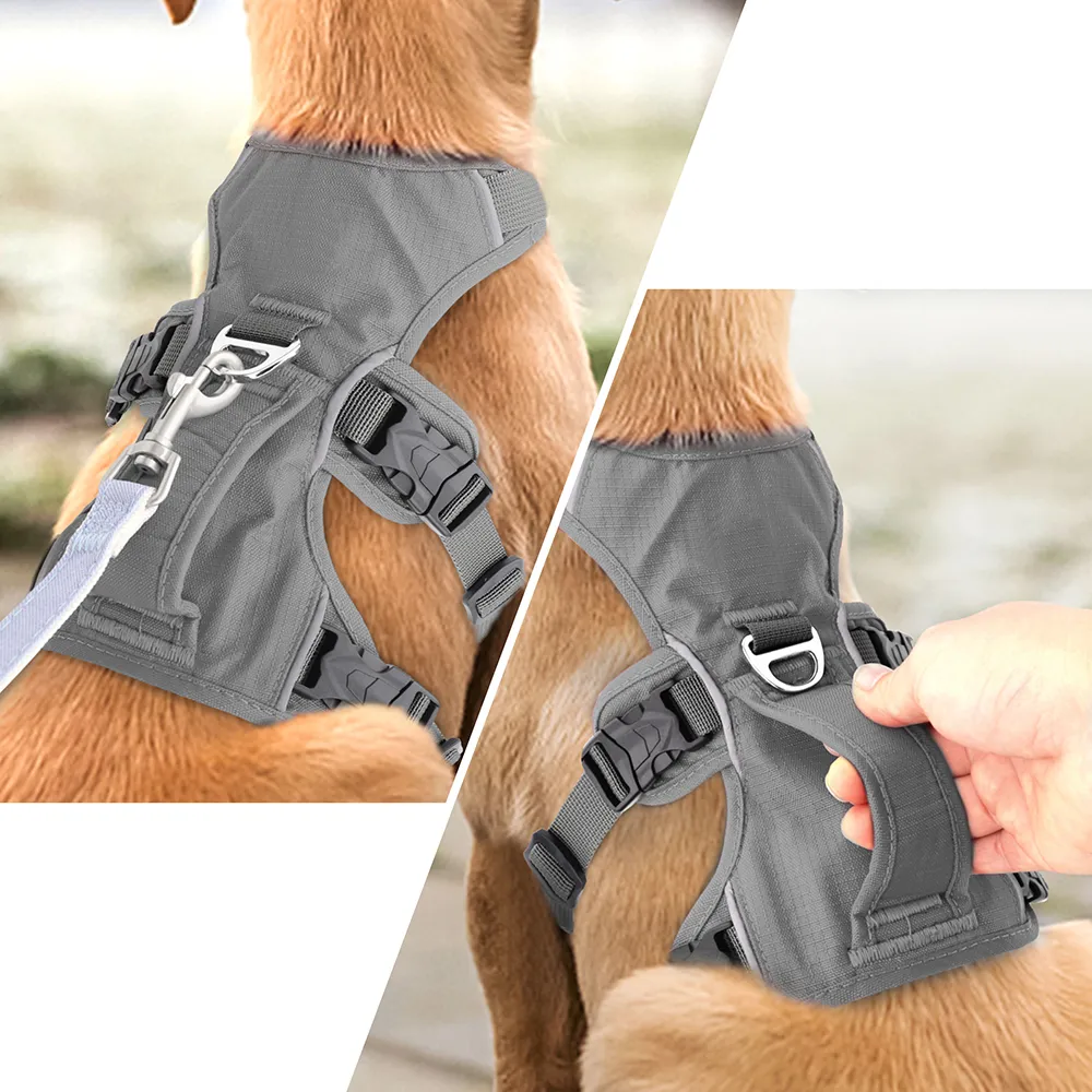 Coleira Peitoral Resistente Grande Smag