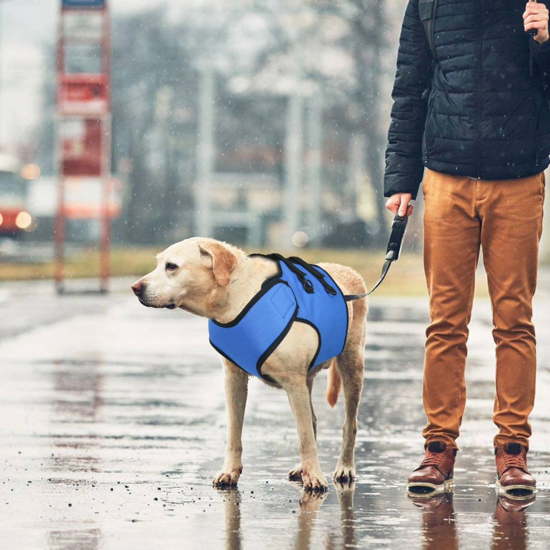 Sling Cinta Suporte Pet para Cães em Reabilitação com Dificuldade de Andar Deficiência