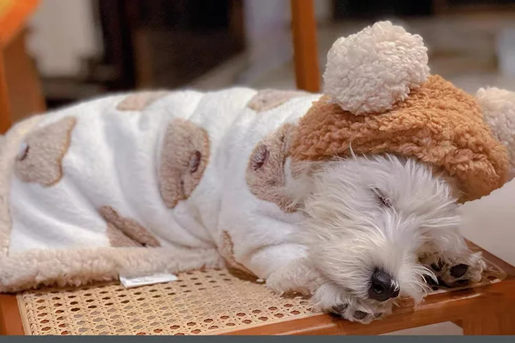 Roupinha Pet Poncho