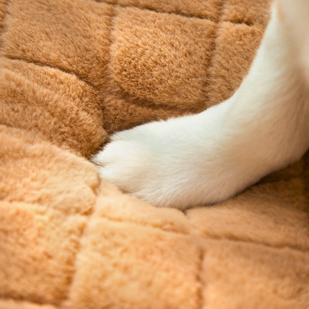 Cama Bear| Para Cachorro e Gato