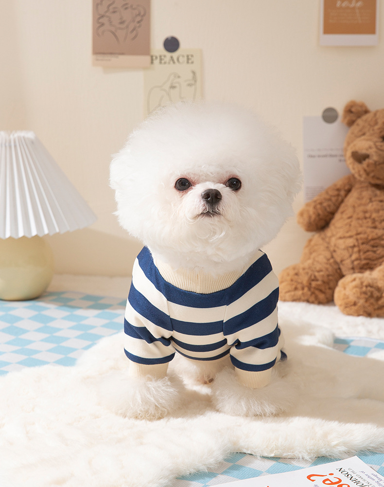 Macacão Pet Little Bear