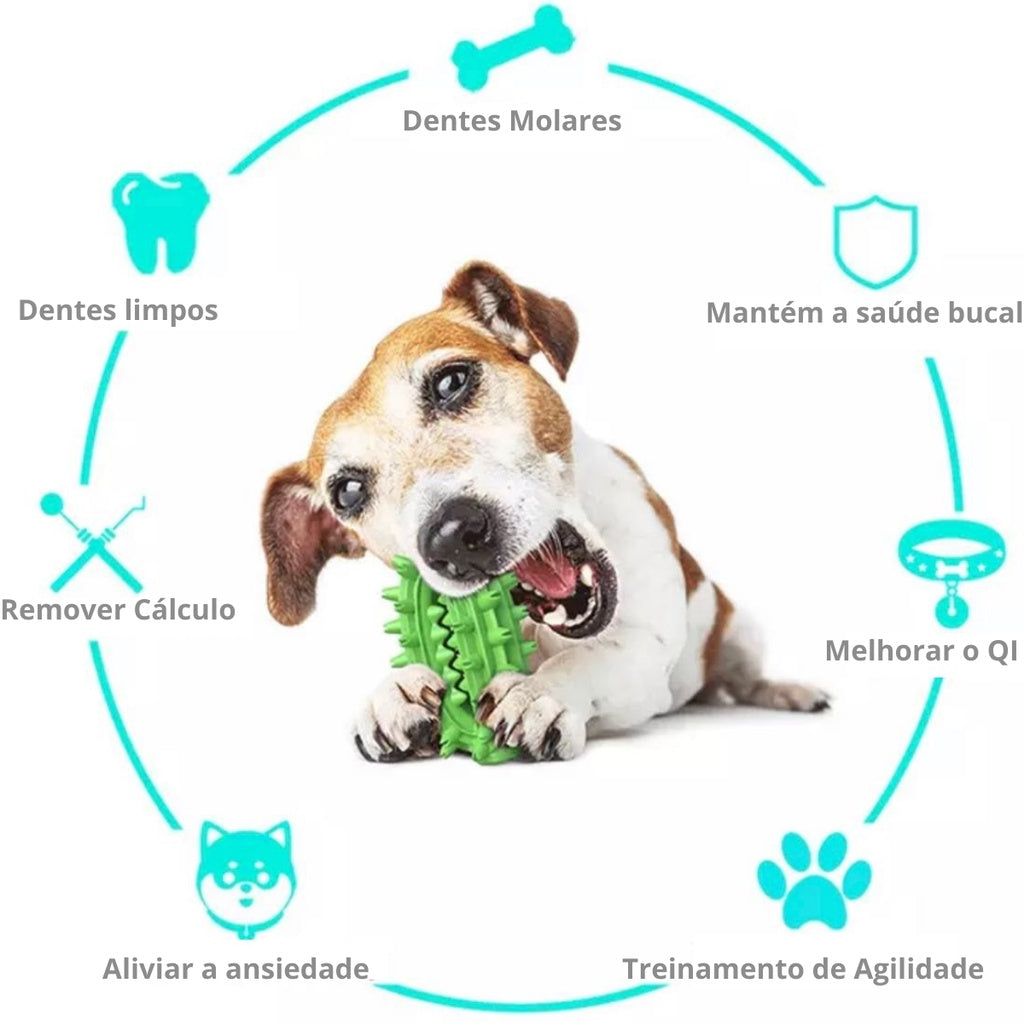 Cabo de Guerra com Porta Petiscos + Brinde Mordedor para Cachorro