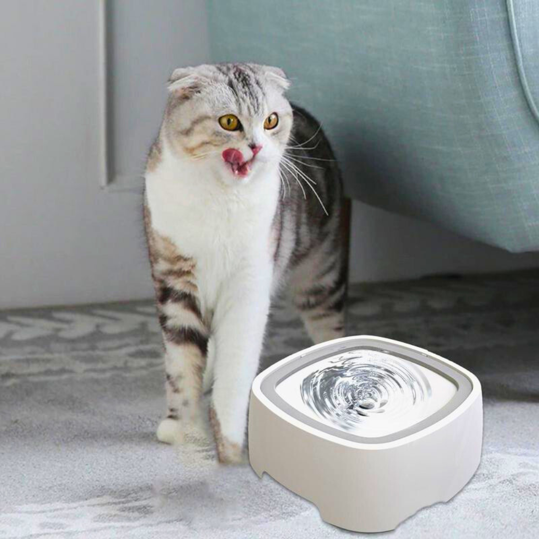 Bebedouro Anti Respingos | Para Cachorro e Gato