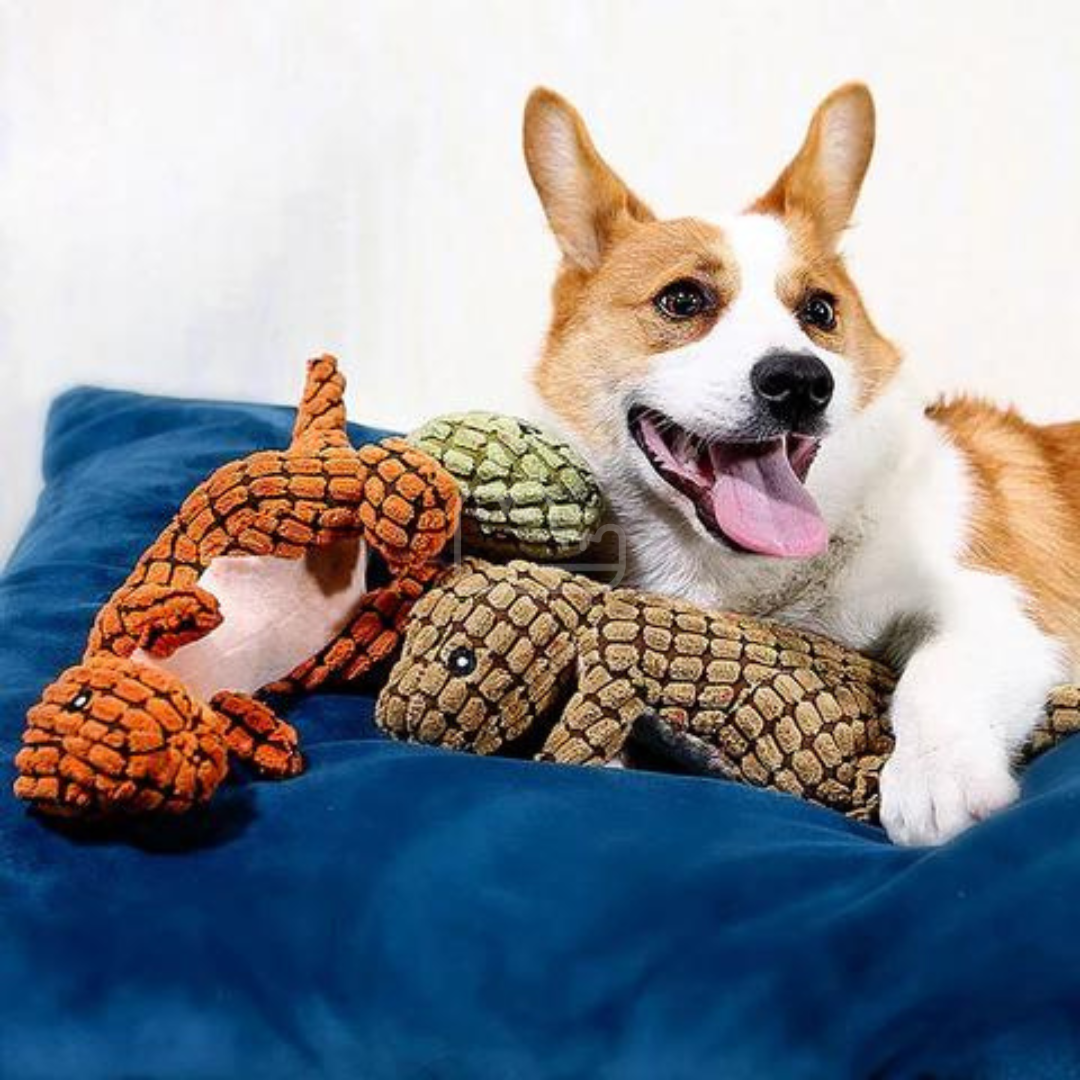 DinoCroc™: Dinossauro de Pelúcia Brinquedo Indestrutível - Pet Croc