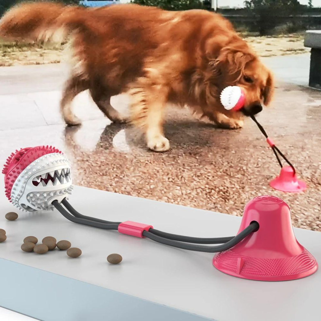 Cabo de Guerra com Porta Petiscos + Brinde Mordedor para Cachorro