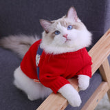 Christmas Pet Knit