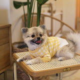Tricot Pet Beju