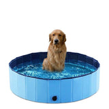Swimming Pool Pet Club