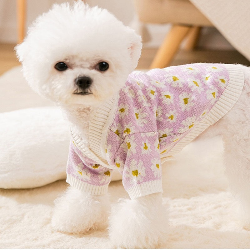 Cardigan Pet Daisy