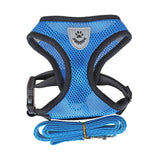 Pet Bunit Collar & Leash