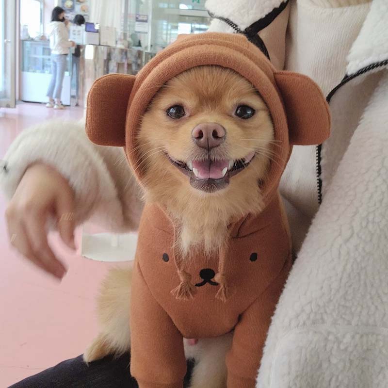 Moletom Pet Fofi