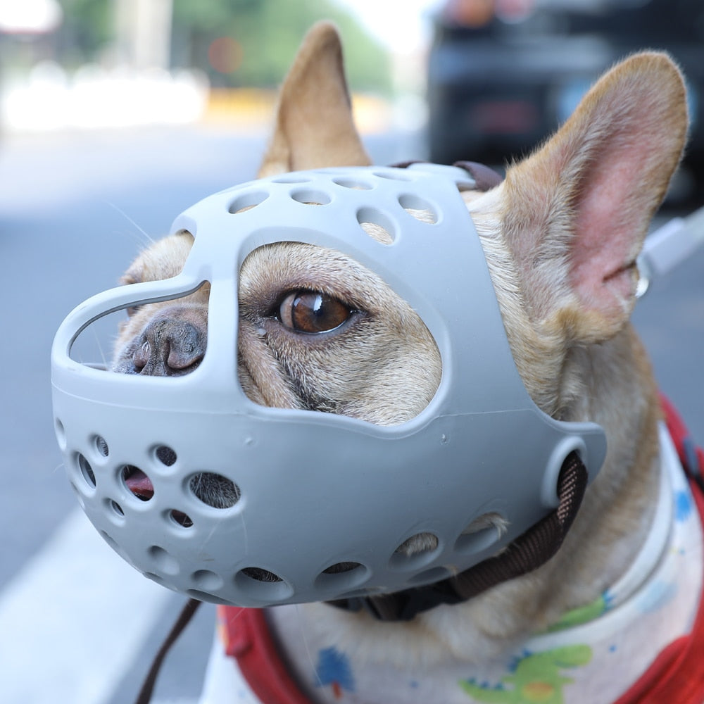 Focinheira Respirável Anti-mordida