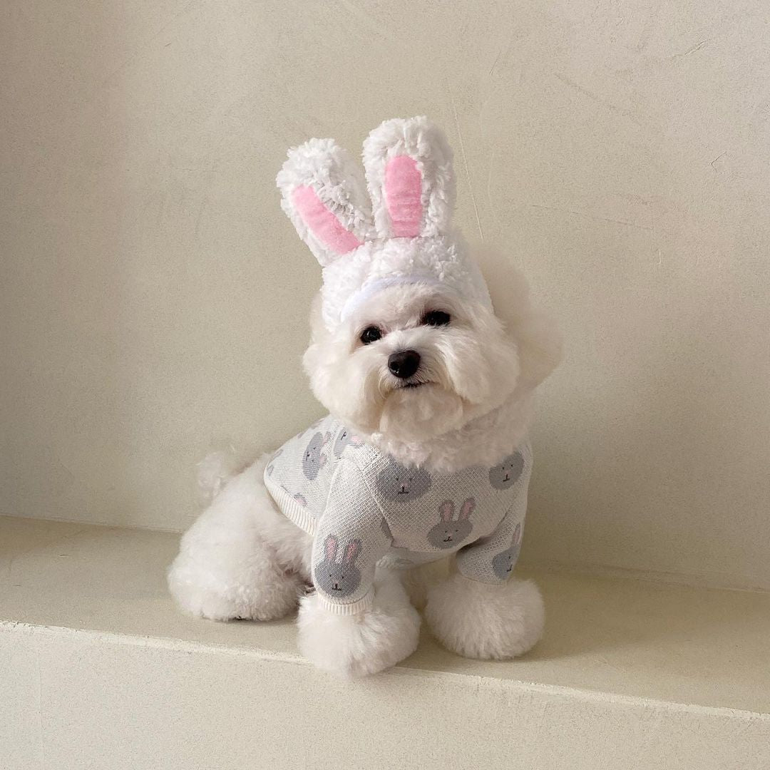 Tricot Little Ears