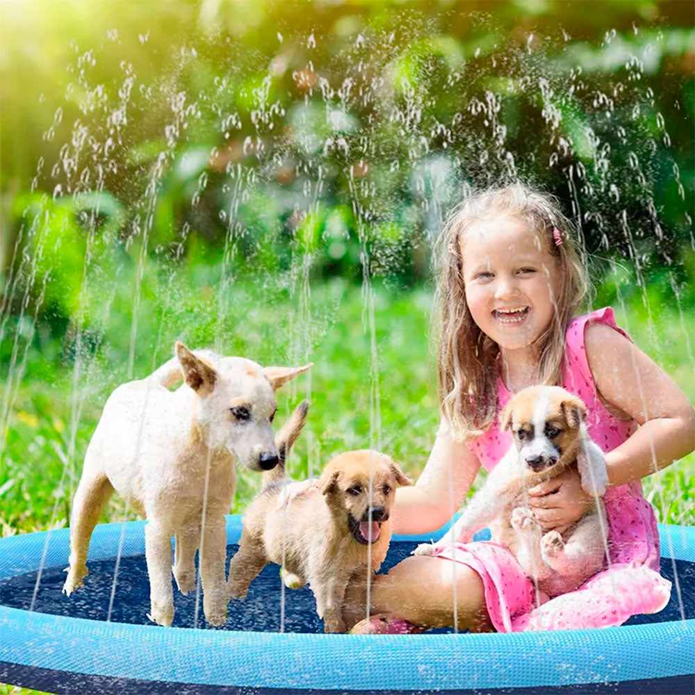 Piscina para Cachorro Chafariz