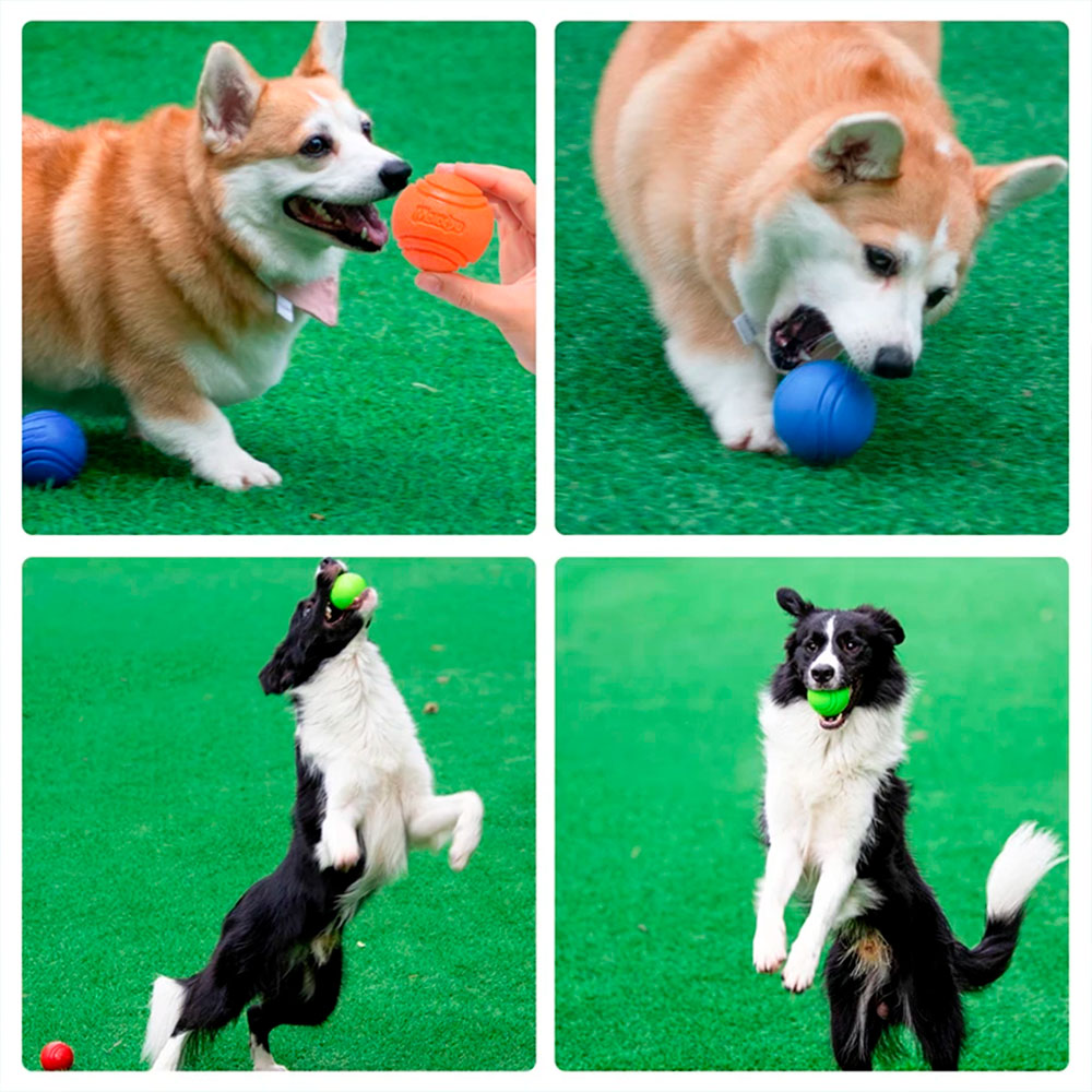 Bola Pulo Perfeito para Cães