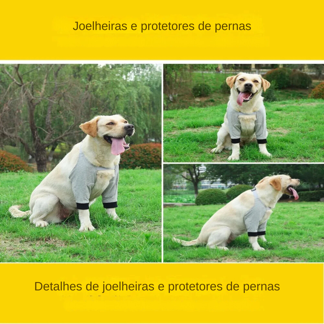 Joelheira Cotoveleira Pet Suporte Alça para Dores Articulação de Cachorros