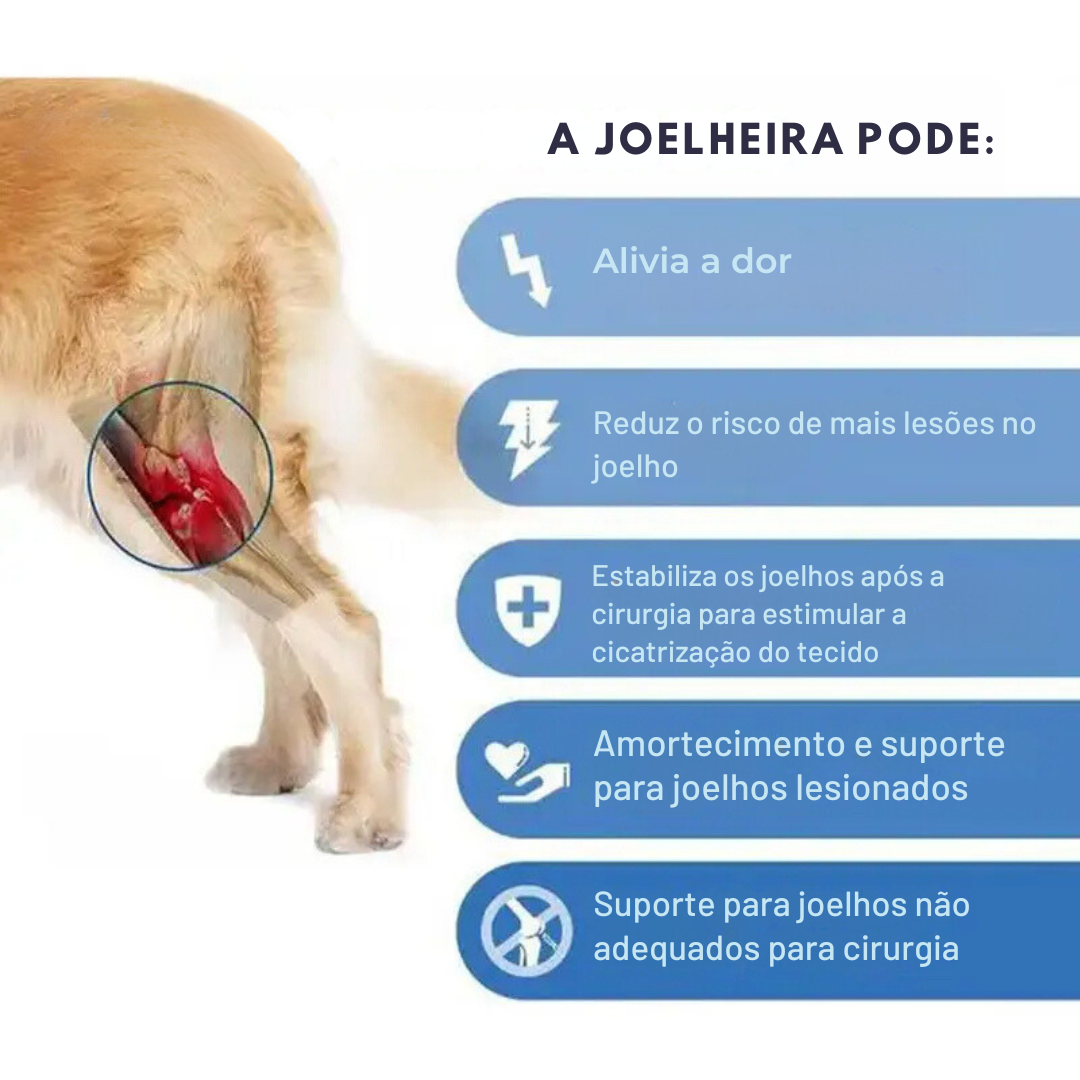 Joelheira Suporte Ortopédico para Cachorros com Lesões Dificuldade de Andar