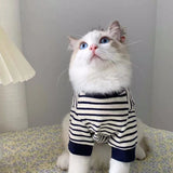 Lilo Pet Sweatshirt