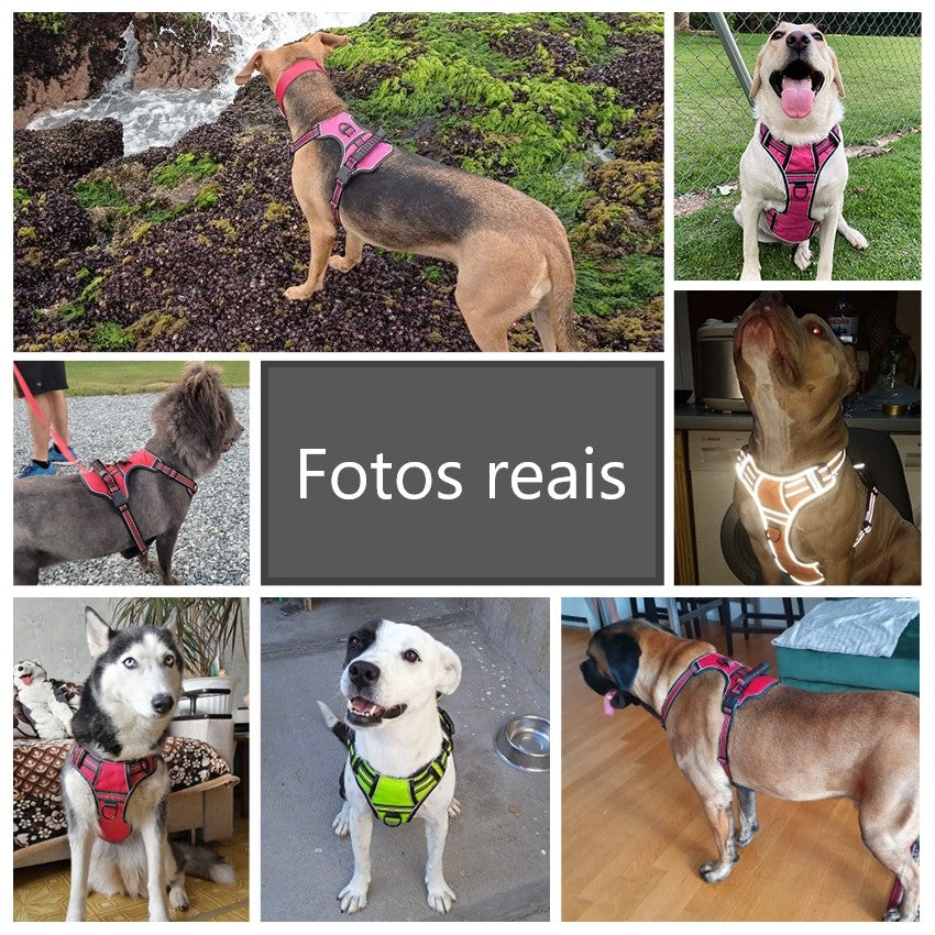 Coleira Reforçada Peitoral Hares - Pequeno até grande porte