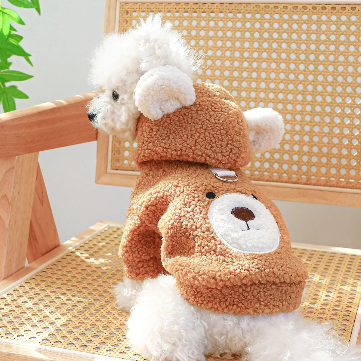 Casaco Pet Teddy Binu