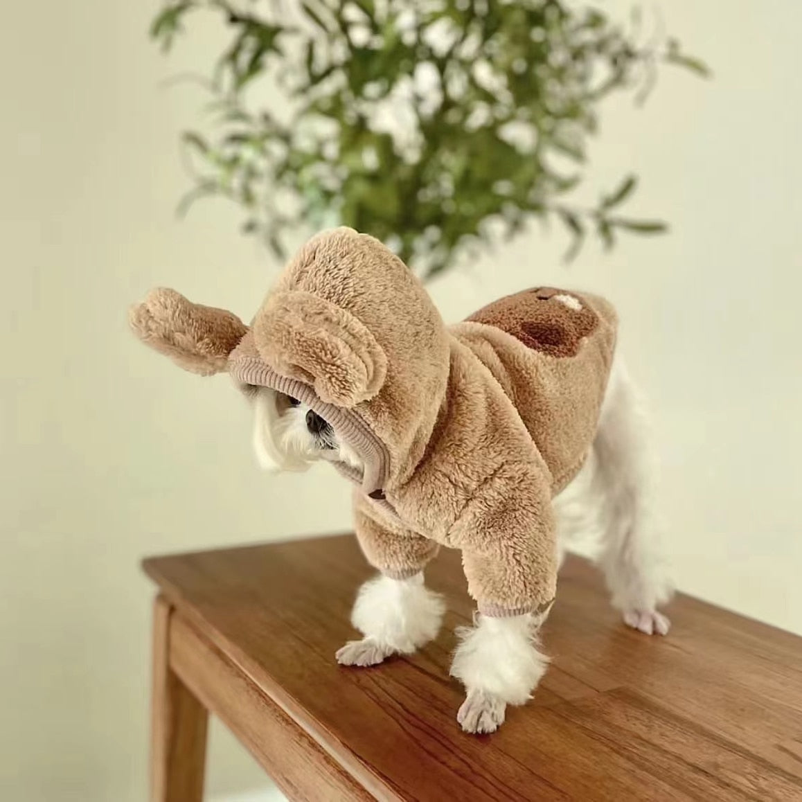 Moletom Fofo Bear