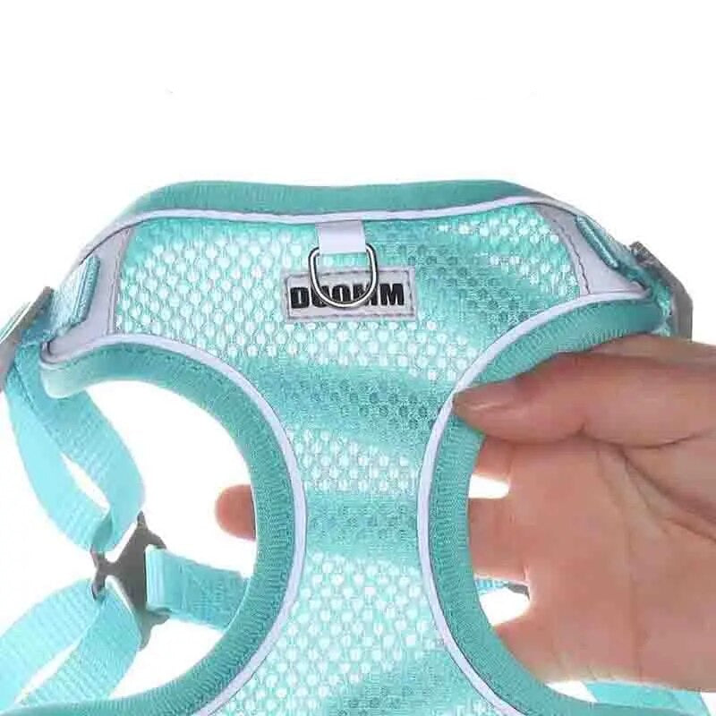 Coleira Peitoral & Guia Resistente Sofity