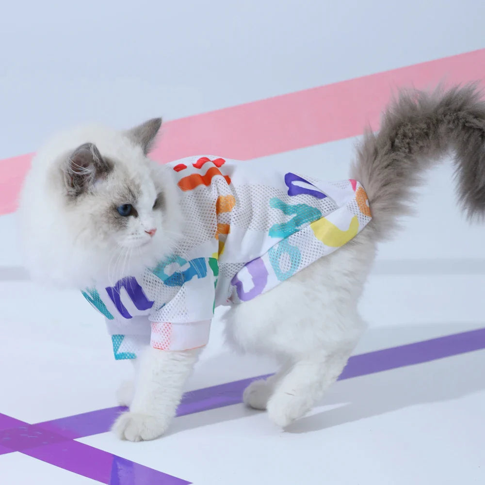 Colete de Verão Gato