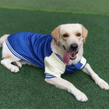 Jaqueta Pet Bomber