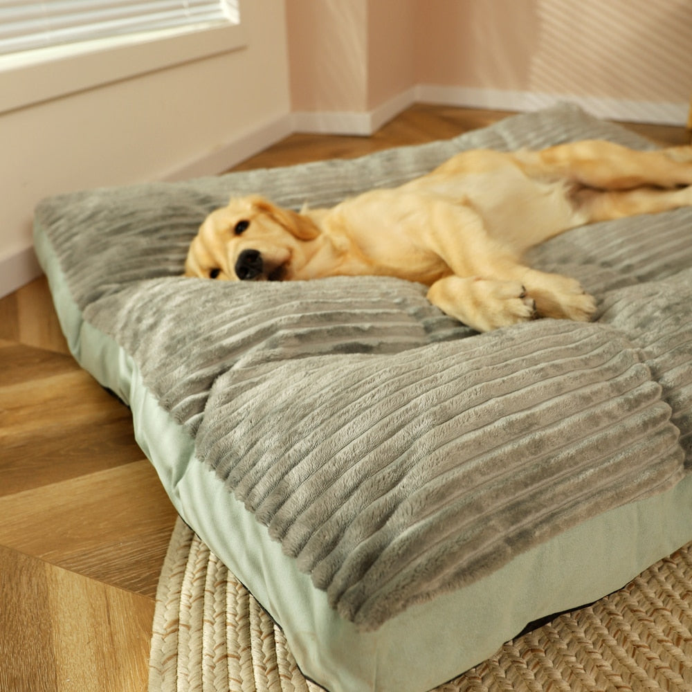 Cama Pet Dream para cachorro e gato
