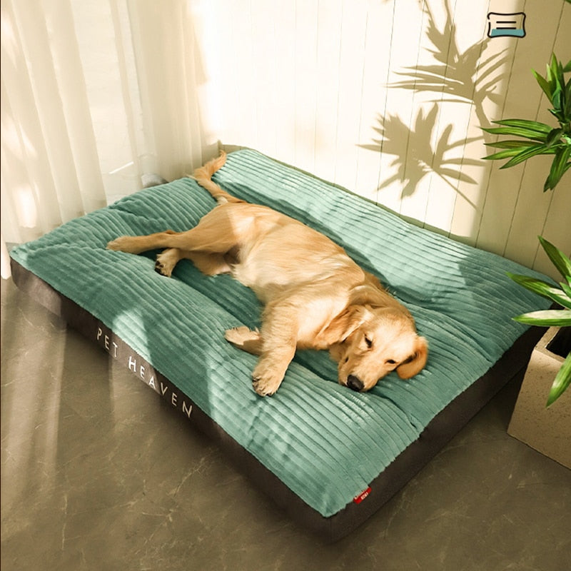Cama Pet Dream para cachorro e gato