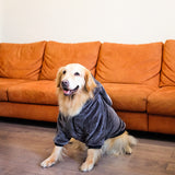 Cute Adventure Sweatshirt