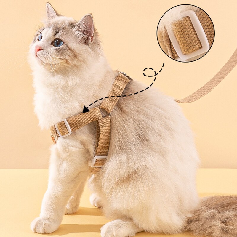 Coleira & Guia Resistente Pet Zilo