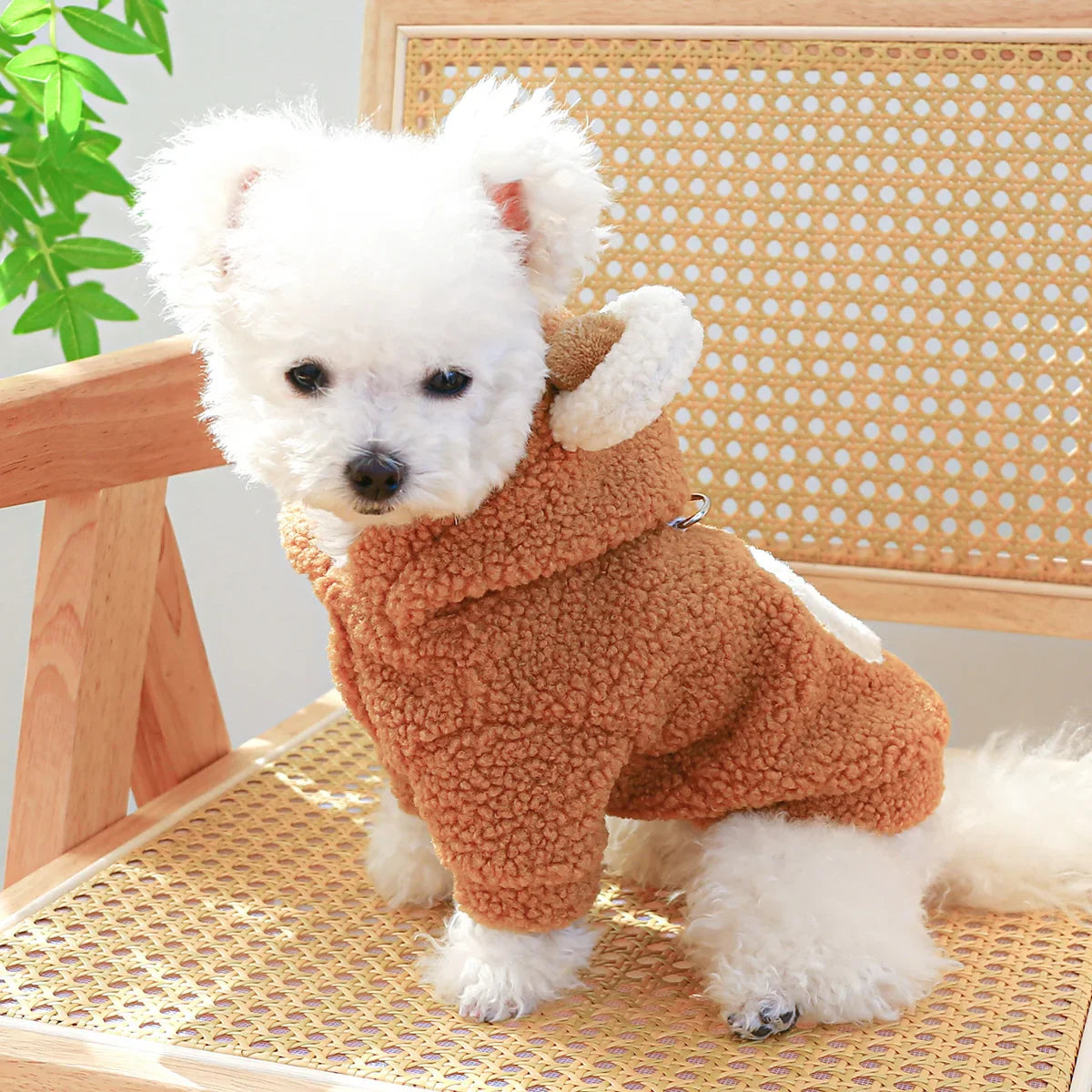 Casaco Pet Teddy Binu
