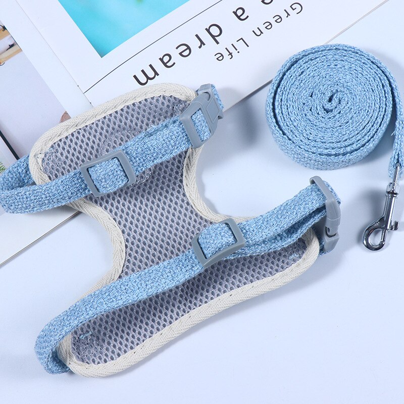 Coleira & Guia Pet Amiguinho