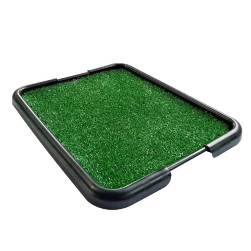 Tapetinho Sintético + Brindes