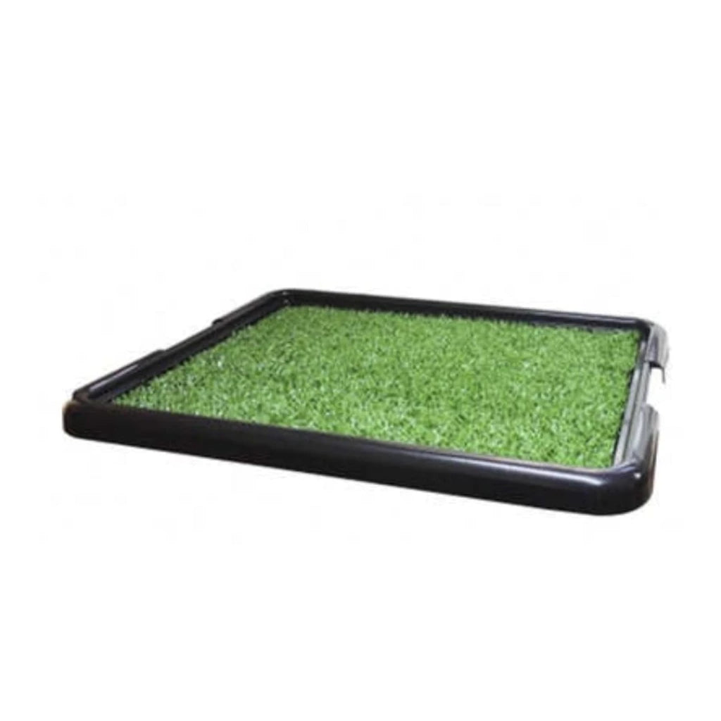 Tapetinho Sintético + Brindes