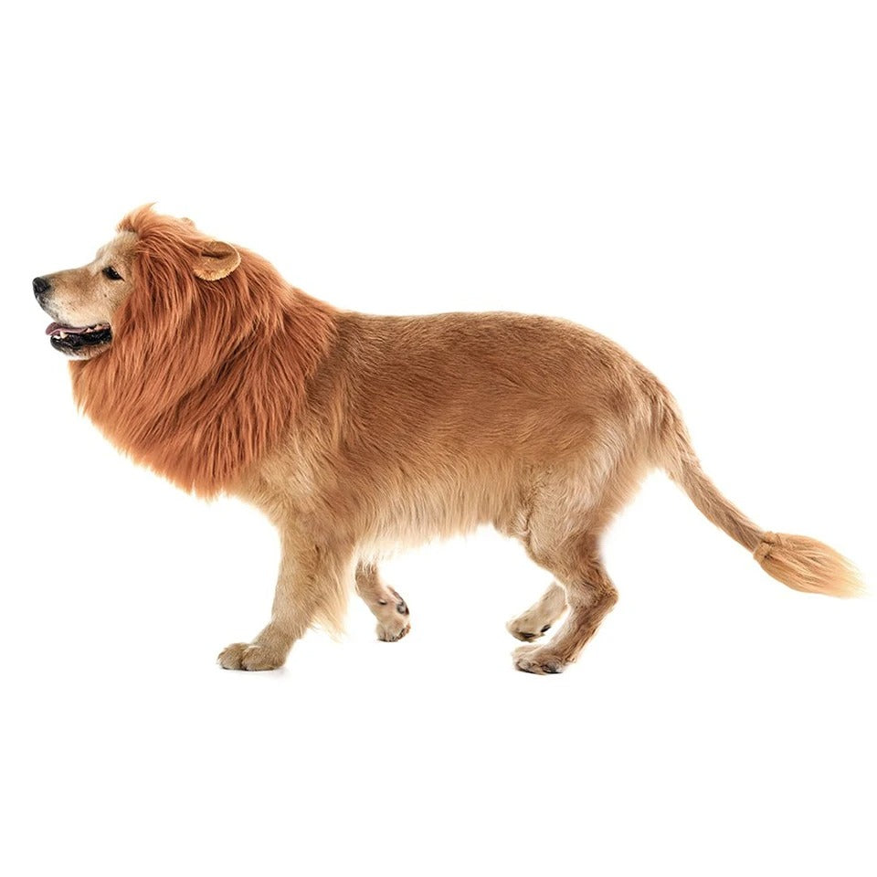 Fantasia Lion Pet