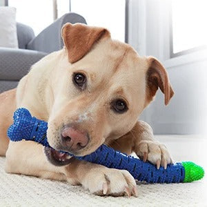 Mordedor Escova de Dente Dogs-Chewbrush