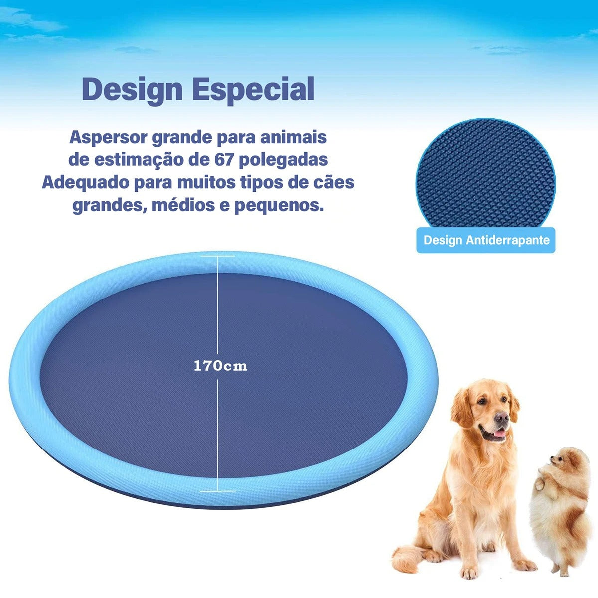 Piscina para Cachorro Chafariz