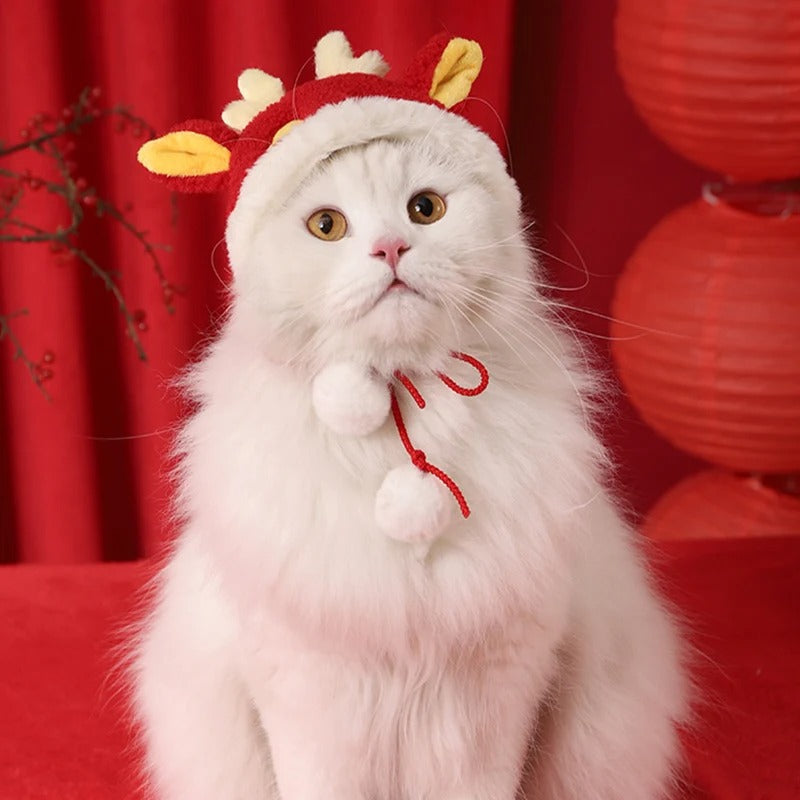 Touca Rena Noel Pet