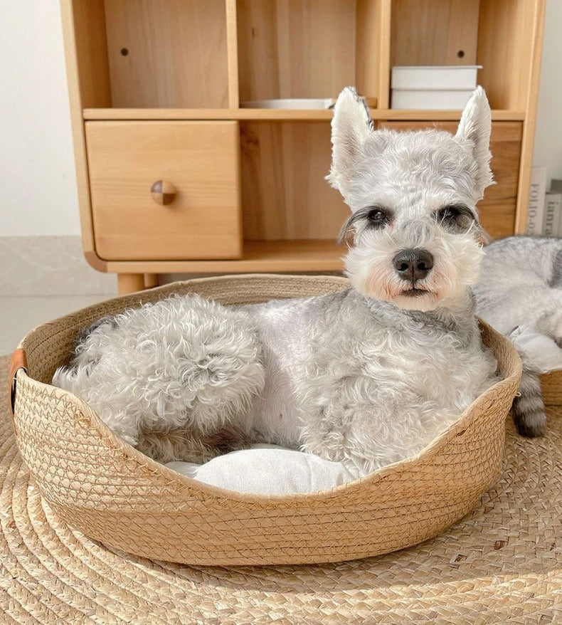 Cama Cesto com Almofada Pet