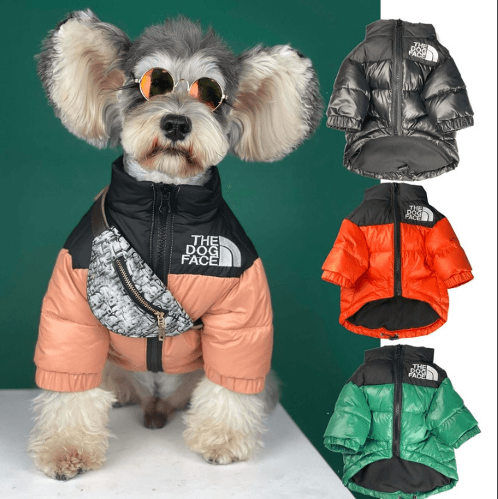 The Dog Face Winter Jacket - Pet Croc